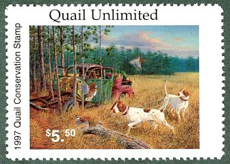 1997 Quail Unlimited Stamp design by Randy McGovern