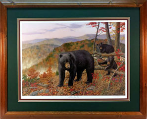 "A Bears Eye View" - Black Bear by wildlife artist Randy McGovern