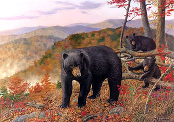 "A Bears Eye View" - Black Bear by wildlife artist Randy McGovern