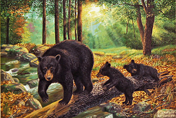 "A Walk In The Park" - Black Bear by wildlife artist Randy McGovern