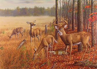 "A Brand New Day" by wildlife artist Randy McGovern