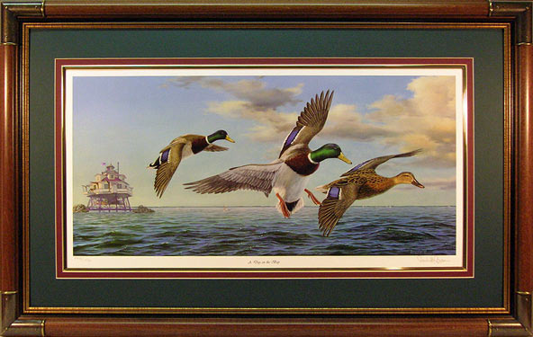 "A Day on the Bay" - Waterfowl Art print by wildlife artist Randy McGovern