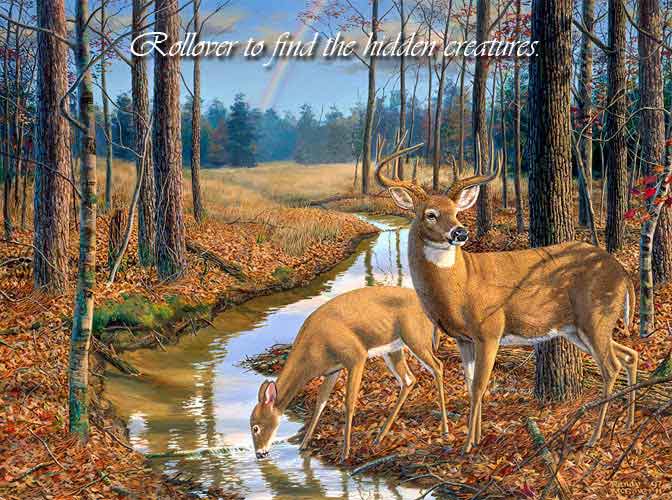 After the Rain - Whitetail Deer by Randy McGovern