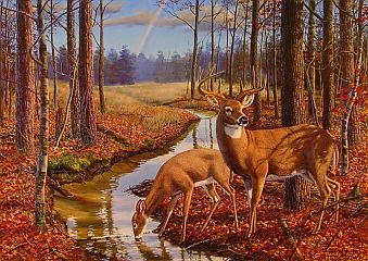 "After The Rain" by wildlife artist Randy McGovern