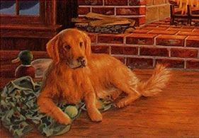 "Appreciation" - Golden Retriever by Randy McGovern