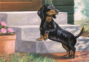 "Are You Coming?" - Black and Tan Dachshund by Randy McGovern
