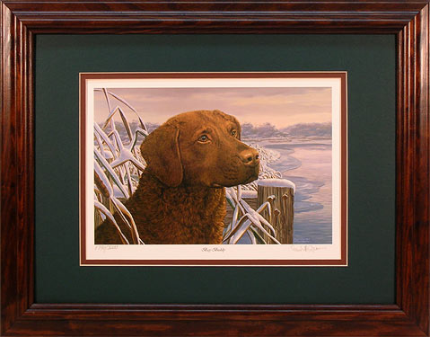 "Bay Buddy" - Chesapeake Bay Retriever by wildlife artist Randy McGovern