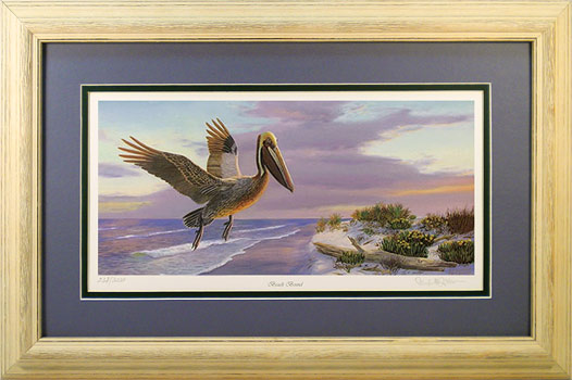 "Beach Bound" - Brown Pelican Bird Prints by wildlife artist Randy McGovern