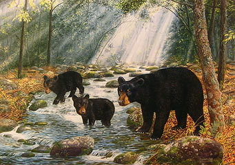 "Bear Feet In The Creek" - Black Bears by wildlife artist Randy McGovern