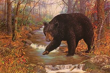 "Bearly Wading" - Black Bear by wildlife artist Randy McGovern