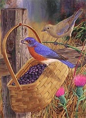 "Blue Bandits" - Bluebirds by wildlife artist Randy McGovern
