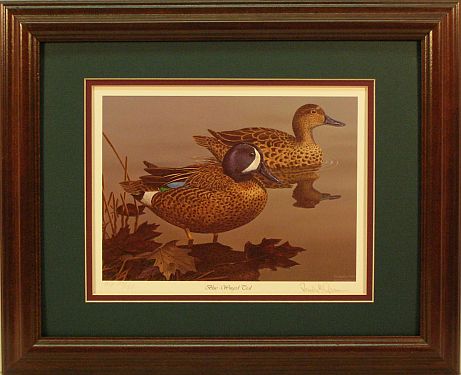 "Blue-winged Teal" - Waterfowl Art print by wildlife artist Randy McGovern