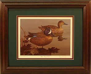 "Blue-winged Teal" - Waterfowl Series by wildlife artist Randy McGovern