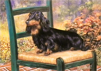 "Chairperson" - Black and Tan Dachshund by Randy McGovern