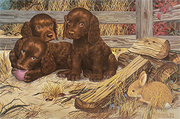 "Cornered" - Boykin Spaniel puppies by artist Randy McGovern