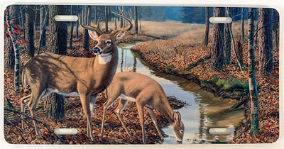 License Plate with art by wildlife artist Randy McGovern