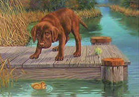 "Don't Make Me Jump" - Chocolate Lab by Randy McGovern