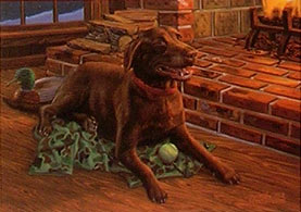 "Don't Make Me Move" - Chocolate Lab by Randy McGovern