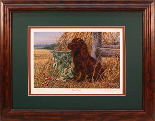 "Dove Dream" - Boykin Spaniel by wildlife artist Randy McGovern