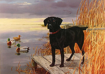 "Duckmeister" - Black Lab by wildlife artist Randy McGovern