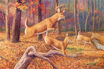 "Fleeting Moment" by wildlife artist Randy McGovern!