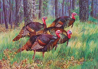 "Four Part Harmony" - Wild Turkeys by artist Randy McGovern