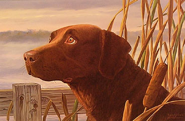 "Fowl Weather Friend" - Chocolate Lab by artist Randy McGovern