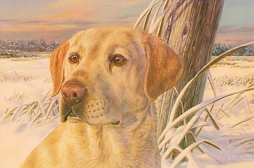 "Frozen Moment" by wildlife artist Randy McGovern