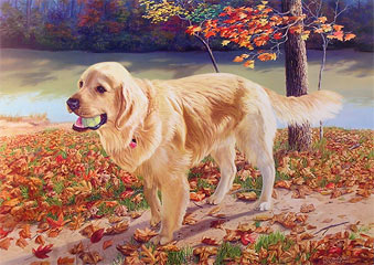 "Fun in the Sun" - Golden Retriever by wildlife artist Randy McGovern