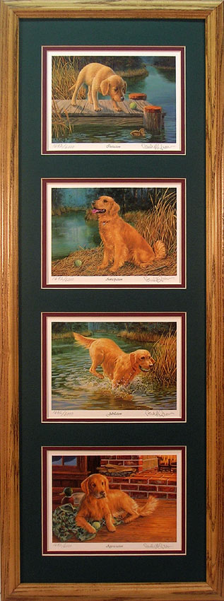 Framed set of 4 Golden Retriever prints by Randy McGovern