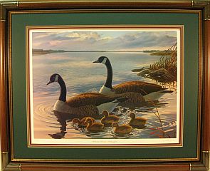 "Hideaway Heritage" - Canadian Geese by Randy McGovern