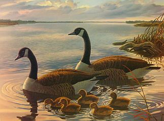 "Hideaway Heritage" - Canadian Geese by Randy McGovern