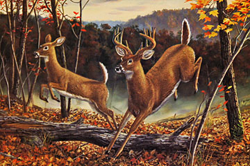 "Higher Ground" by wildlife artist Randy McGovern