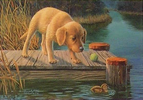 "Initiation" - Golden Retriever by Randy McGovern