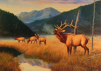 "King Of The Valley" - Elk by wildlife artist Randy McGovern