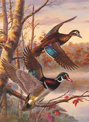 1997 Quail Unlimited Stamp design by Randy McGovern