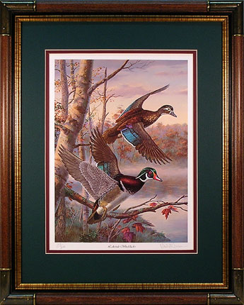 "Lakeside Wood Ducks" - Wodd Ducks print by Randy McGovern