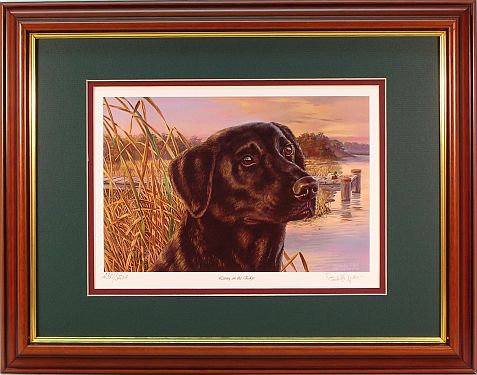 "Living on the Edge" - Black Lab by wildlife artist Randy McGovern