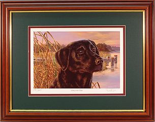 "Living On The Edge" - Black Lab by artist Randy McGovern