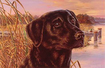 "Living On The Edge" - Black Lab by artist Randy McGovern