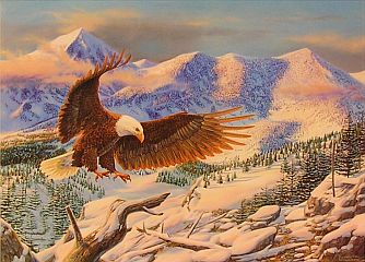 "Living Room" - Bald Eagle by wildlife artist Randy McGovern