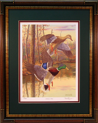 "Timber Mallards" - Waterfowl Art print by wildlife artist Randy McGovern