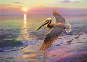 "Evening Traffic" Brown Pelican Print - Wildlife artist Randy McGovern