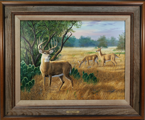 "Mesquite Hideaway" by wildlife artist Randy McGovern