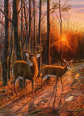 "On The Road Again" by wildlife artist Randy McGovern