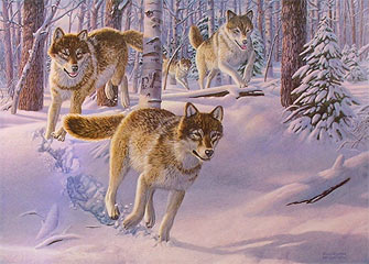 "Pack Attack" - Timber Wolves by wildlife artist Randy McGovern