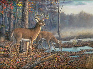 "Quiet Morning" by wildlife artist Randy McGovern