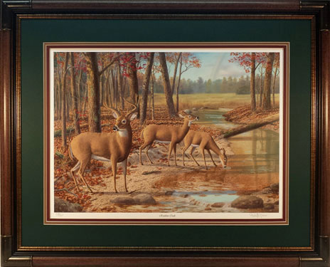 "Rainbow Creek" - Whitetail Deer print by wildlife artist Randy McGovern