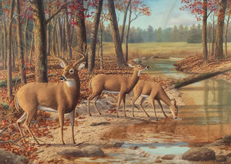 "Rainbow Creek" by wildlife artist Randy McGovern