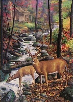 "Room With A View" by wildlife artist Randy McGovern
